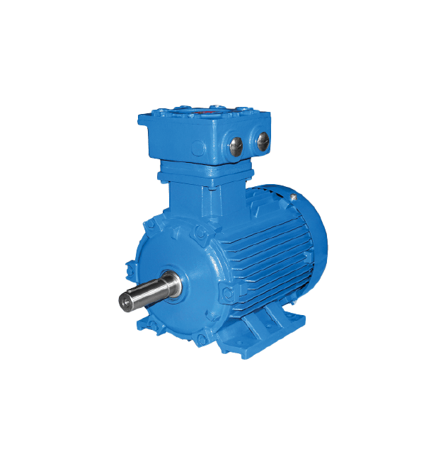 IEC-HAZARDOUS-AREA-MOTORS